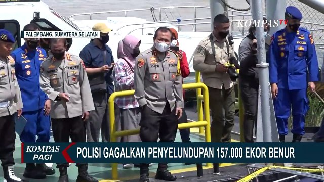3 Polisi Sempat Disandera ABK Kapal yang Lakukan Penyelundupan 157.000 Ekor Benur di Sumsel