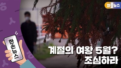 [한손뉴스] 계절의 여왕 5월?...꽃가루 알레르기 가장 심한 달 / YTN