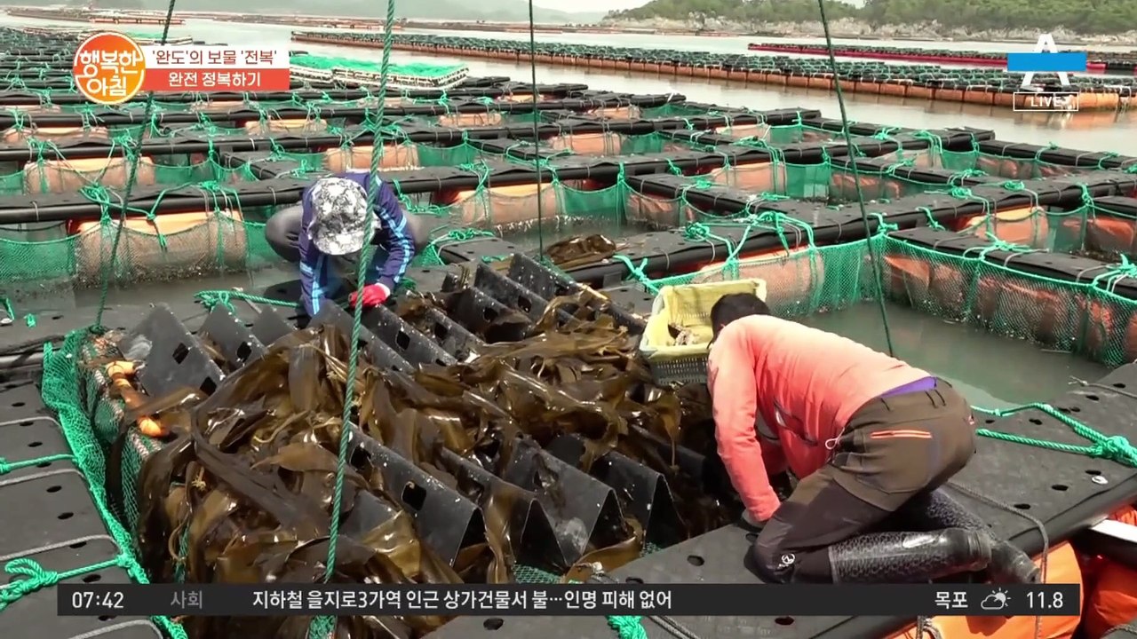 완도의 보물, 전복♥ 보기 좋고 맛도 좋은 전복 한 상 대령이요~!