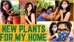 New Plants For My Home  | Plant Shopping | Harija Vlogs