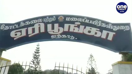 Yercaud Trip | ஏழைகளின் ஊட்டியில் குவிந்த மக்கள் | Oneindia Tamil