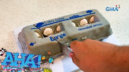 Hyperrealistic cakes for real?! | AHA!