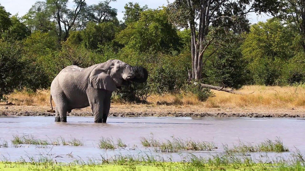 Namibia 4K - Scenic Relaxation Film With African Music