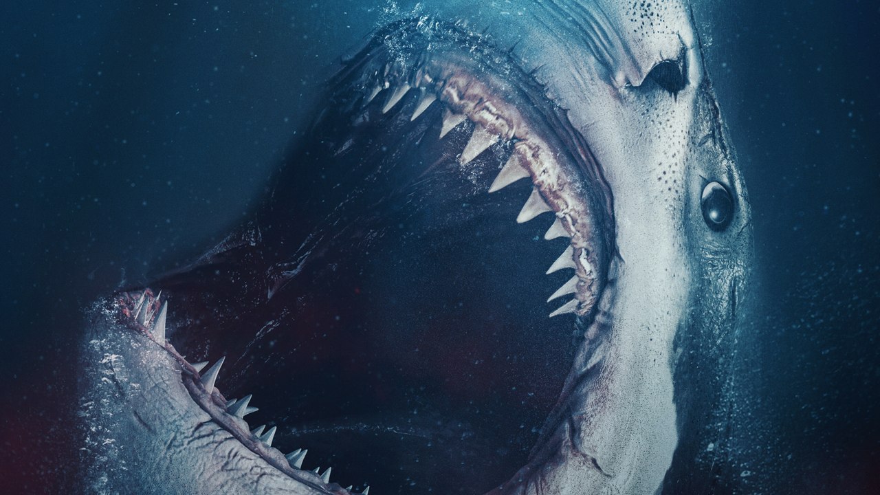 The Requin. Der Hai - Trailer (Deutsch) HD