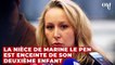 Marion Maréchal enceinte : elle donne un prénom d'origine étrangère à son bébé, Zemmour fulmine