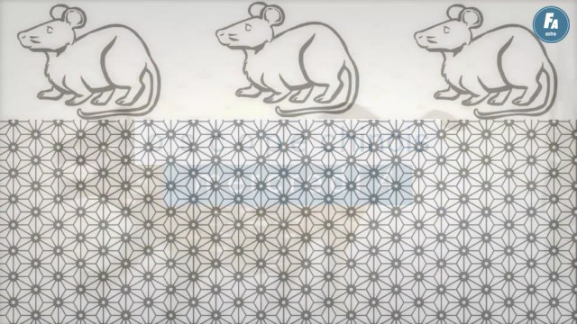 FEMME ACTUELLE - Horoscope chinois du jour du mercredi 4 mai 2022, le Serpent de Feu