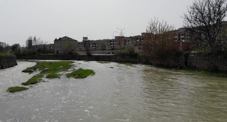 Bu çay görenleri şaşkına çeviriyor