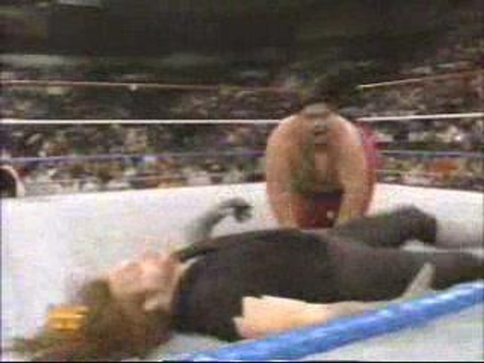 Royal Rumble 1994Undertaker vs Yokozuna