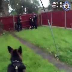 Watch the moment Lee Martin is arrested after committing a string of violent crime