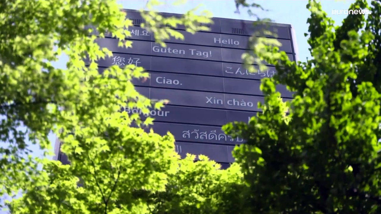 Abholzung und Klimawandel: Der Weltforstkongress will Abhilfe schaffen