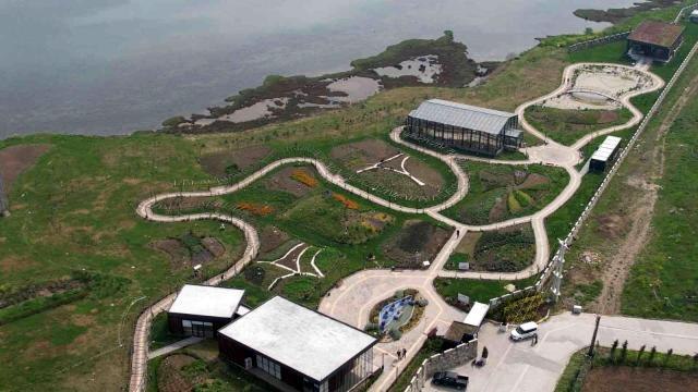 Yalova Altınova tıbbı bitki üretiminde de söz sahibi olacak