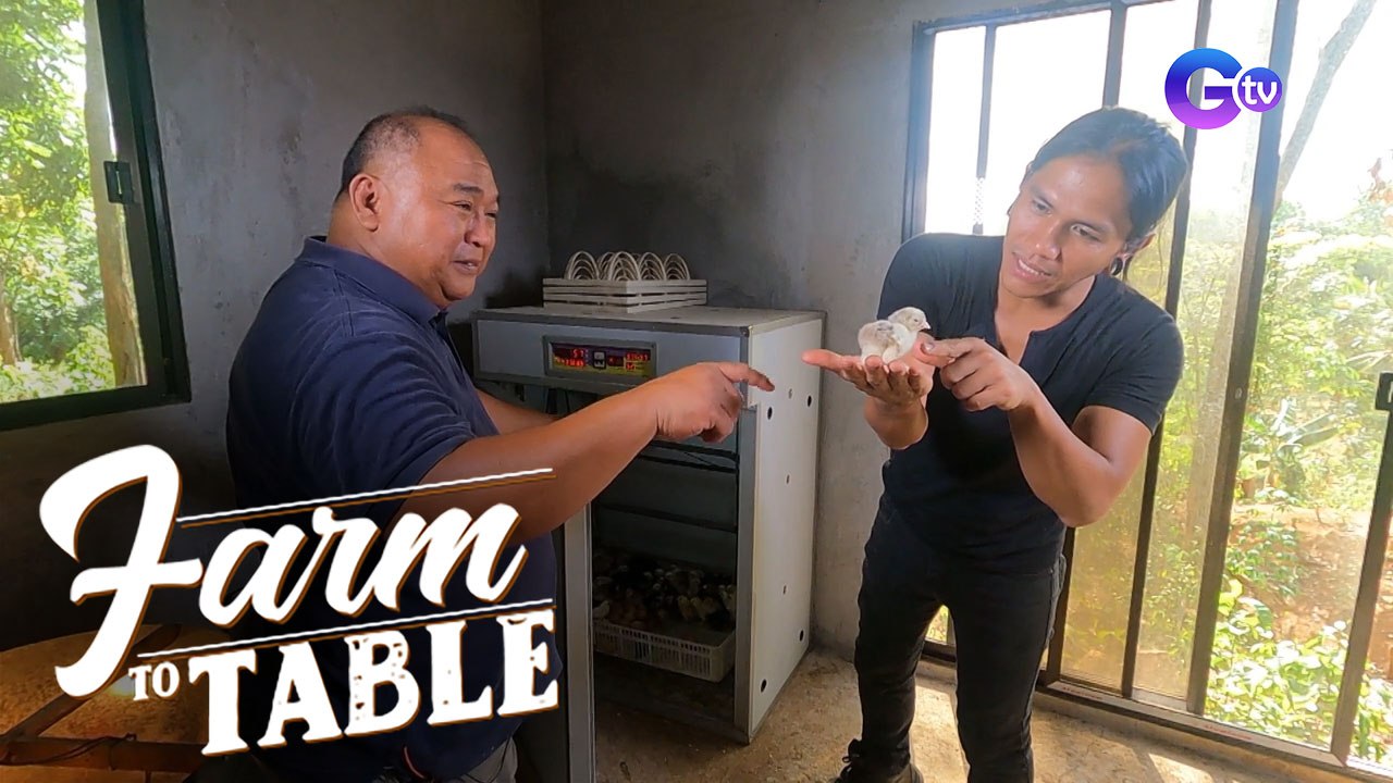 Farm To Table: Chef JR Royol’s exciting animal farm experience