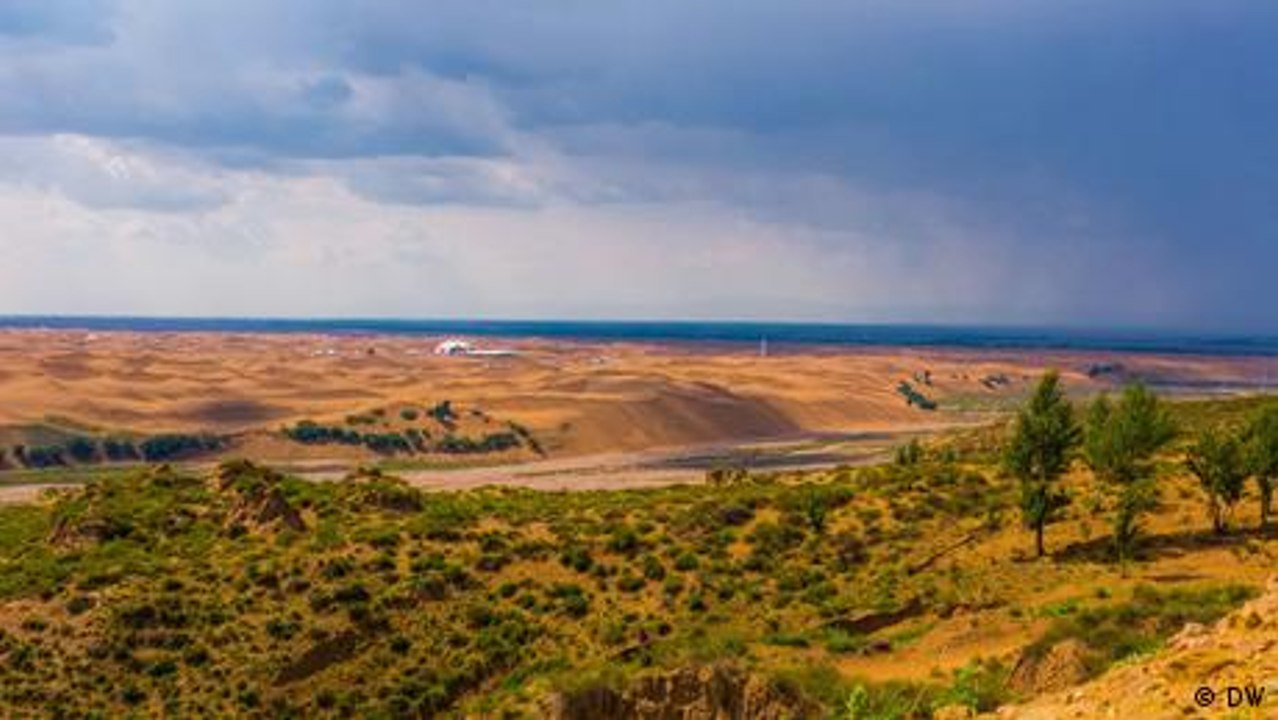 Können wir den Planeten vor der Verwüstung retten?