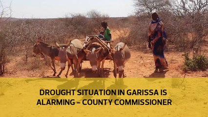 Drought situation in Garissa is alarming - County Commissioner