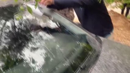 Toz taşınması nedeniyle yağmurla çamur yağdı