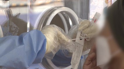 87일 만에 2만 명대 확진...사망 83명·위중증 461명 / YTN