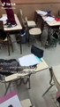 Ratón entra a un salón de clases durante examen y ‘salva’ a los alumnos de la prueba