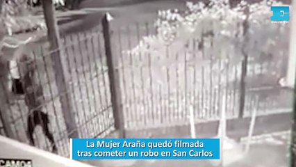 La Mujer Araña quedó filmada tras cometer un robo en San Carlos