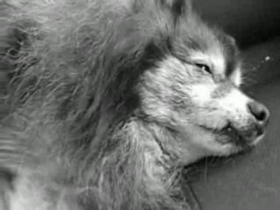AaRON Lost Highway(+Joyeux)