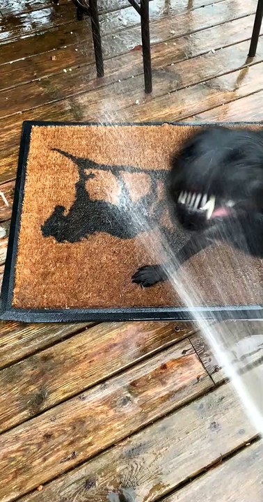 Lab Goes Wild for Hose Water