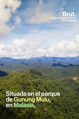 En esta cueva viven millones de murciélagos