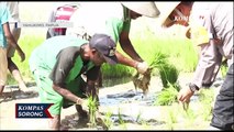 Polisi Ajarkan Warga Papua Di Timika Bertani Dan Beternak
