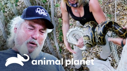Brittany lucha contra una serpiente enorme | Guardianes del Pantano | Animal Planet
