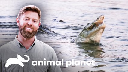 Eles buscam um crocodilo à noite | Criaturas Misteriosas com Forrest Galant | Animal Planet Brasil