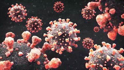 Dr, Fauci La pandemia no ha terminado