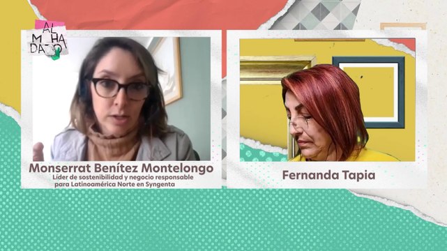 Entrevista SYNGENTA - Almohadazo Casero
