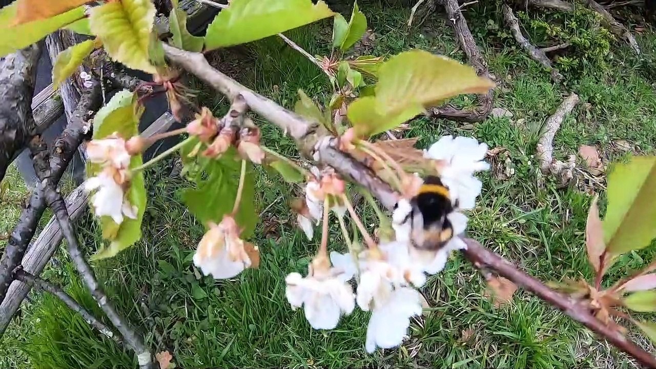 Aquello que nos hace felices - Motivación y reflexión