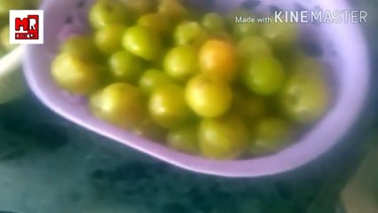 #manu3#manurathore3#RangiloRajasthan#Dhartidhorare#आवले कैसेउवाले#रंगिलोराजस्थान#धरतीघोरारि#swadswadmasahat#swadsaibana