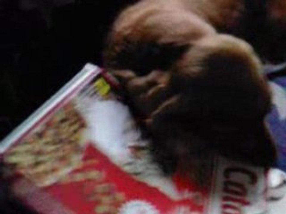 Carton2