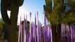 Chihuly in the Desert at the Desert Botanical Garden