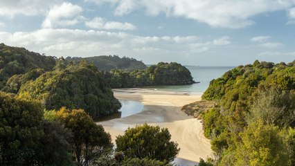 This Remote Island Has Ancient Rainforests, Rare Wildlife, and Stunning Southern Lights Vi