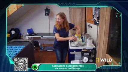 Acompanhe os lançamentos da semana do Disney+