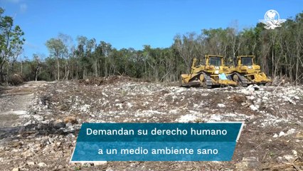 Juez da segunda suspensión provisional que frena el Tramo 5 del Tren Maya