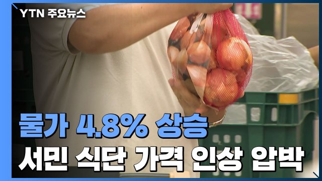 물가 4.8% 상승 '13년 만에 최고'... 가격 인상 압박 / YTN