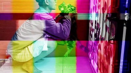 Rekomendasi Obat Kutu Untuk Kucing || DETICK