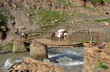 Şırnak dağlarında huzurla birlikte pancar toplayan vatandaşlar kamp kuruyor