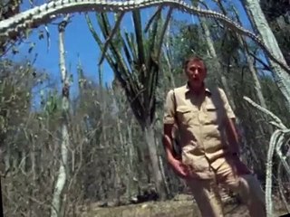 Life on Earth S01 E12