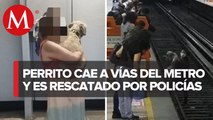 Rescatan a perrito de vías de la Línea 2 del Metro de CdMx; ya está con su dueña