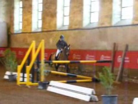 Etalons Poney Haras du PIn Mars 2008 LEOPARD DE MAHOUD 2