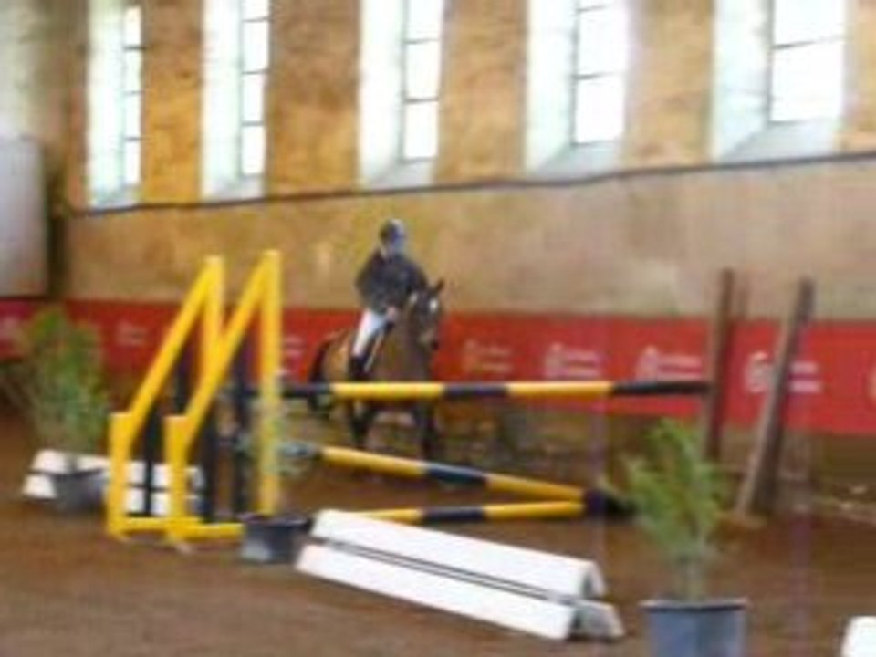Etalons Poney Haras du PIn Mars 2008 LEOPARD DE MAHOUD 2