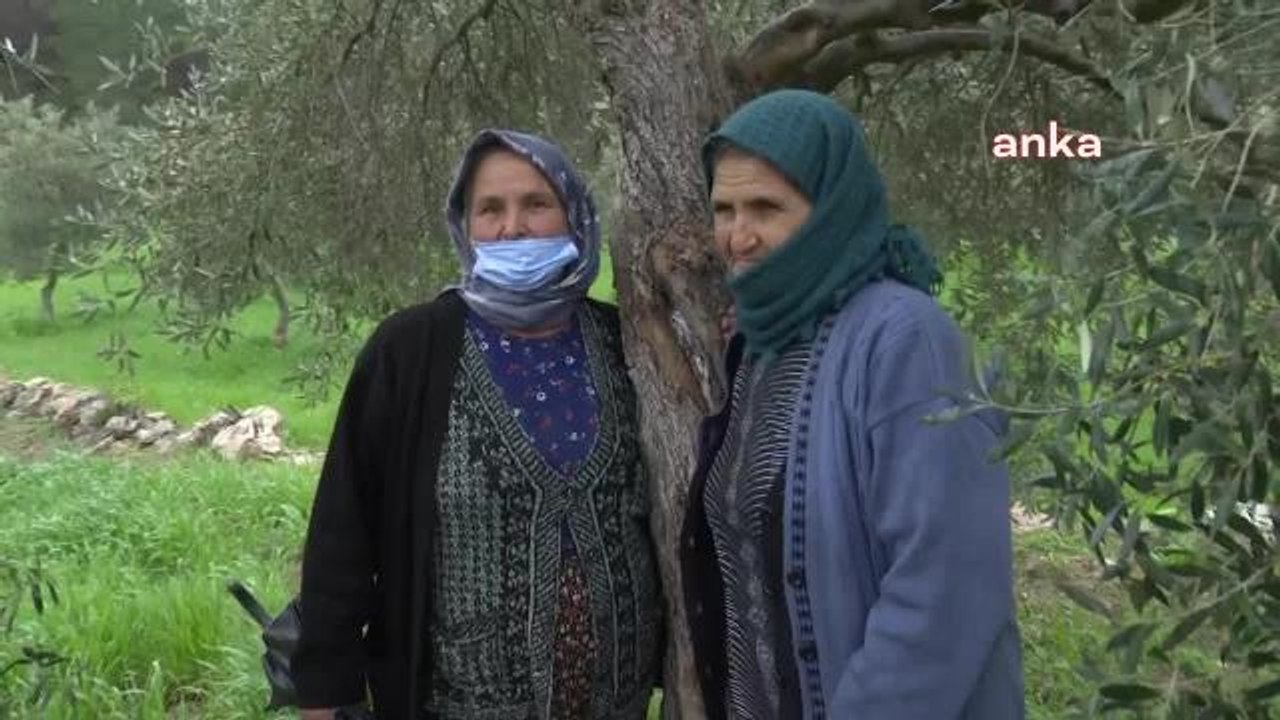 Enerji ve Tabii Kaynaklar Bakanlığı, Zeytinlikleri Madenciliğe Açan Yönetmeliği Savundu: "Her Maden İşletme Faaliyetinin Kimyevi Atık Bırakacağının,...