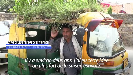 Canicule en Inde: des plantes sur le toit d'un tuk-tuk pour se protéger de la chaleur