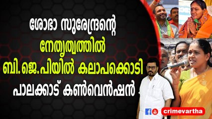 ശോഭാ സുരേന്ദ്രന്റെ നേതൃത്വത്തിൽ ബി.ജെ.പിയില്‍ കലാപക്കൊടി ; പാലക്കാട് കൺവെൻഷൻ