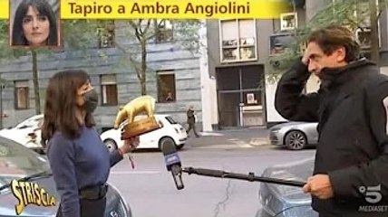 Ambra Angiolini e il tapiro Striscia La Notizia solleva un nuovo polverone A distanza di circa 20 g