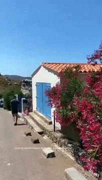 La vidéo de Lili pour l'anniversaire de Romain Ntamack.