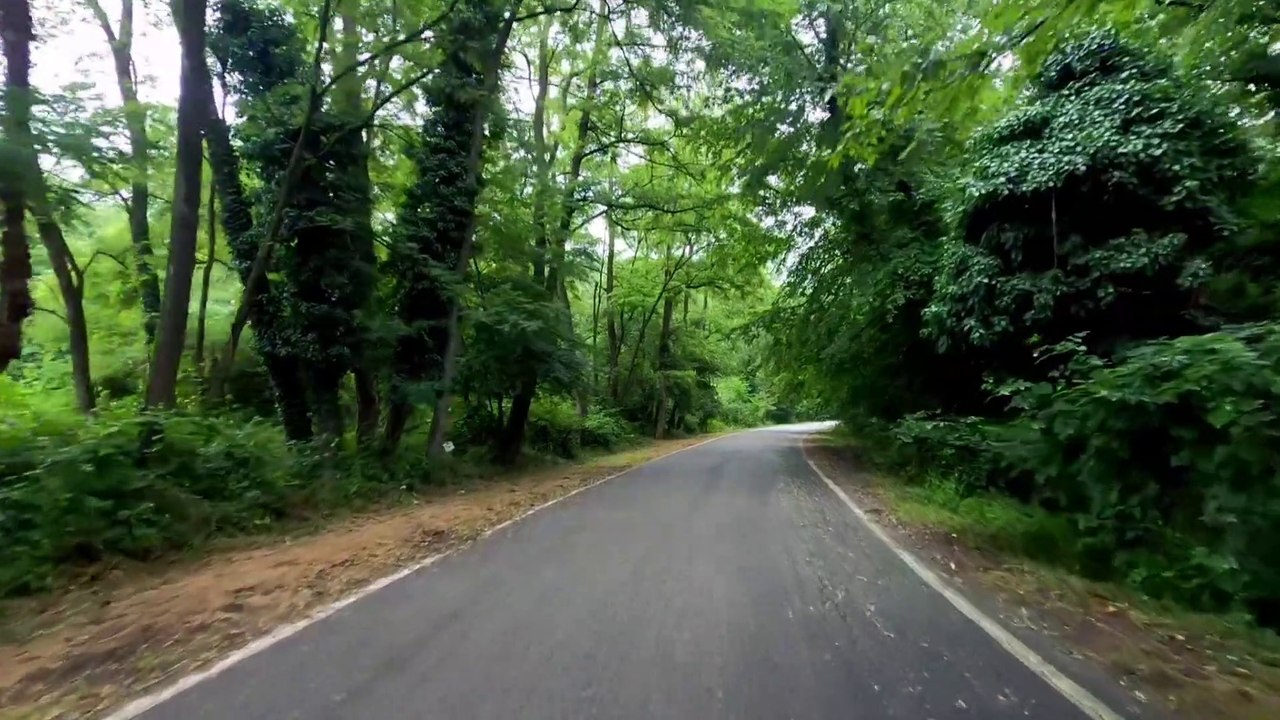 Road Trip Video on Loop | Mind Relaxing Video with Music | Mood Relaxing | Happy Mood Video & Music